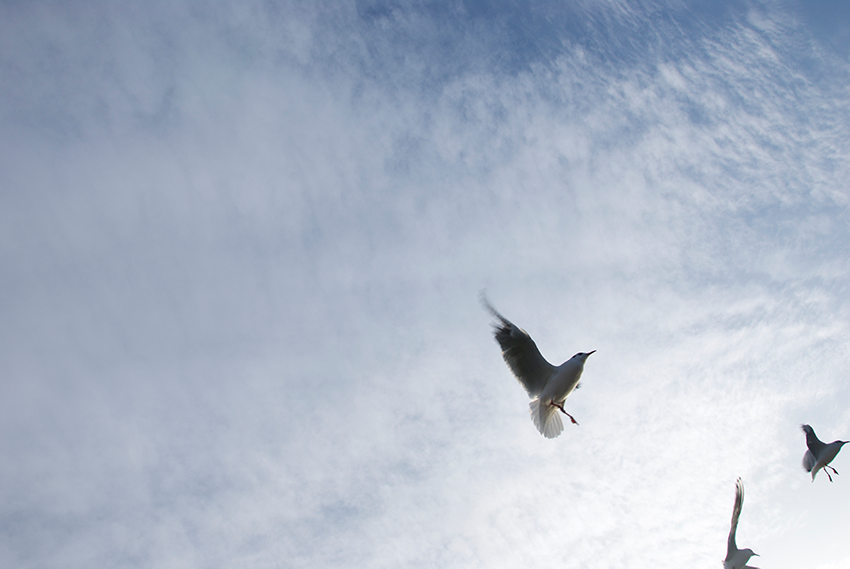 The picture is showing the artwork Your prospects will be heightened by the artist Sandra Miriam Ehlen